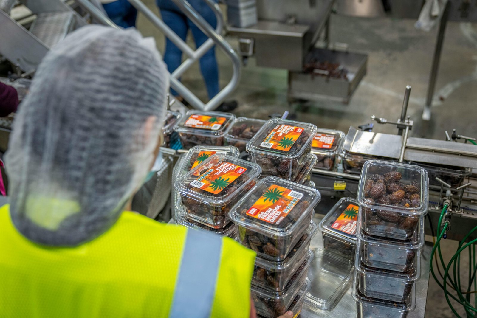 Worker managing date packaging in a modern industrial facility, ensuring quality control.